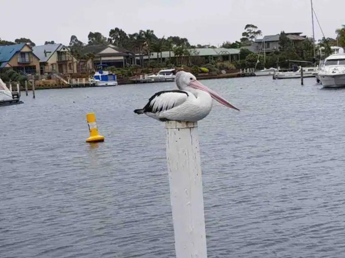 The View - Captains Cove Waterfront Resort Paynesville Eksteriør billede